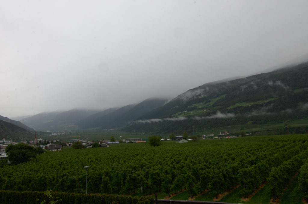 Image Schlanders_5542.png