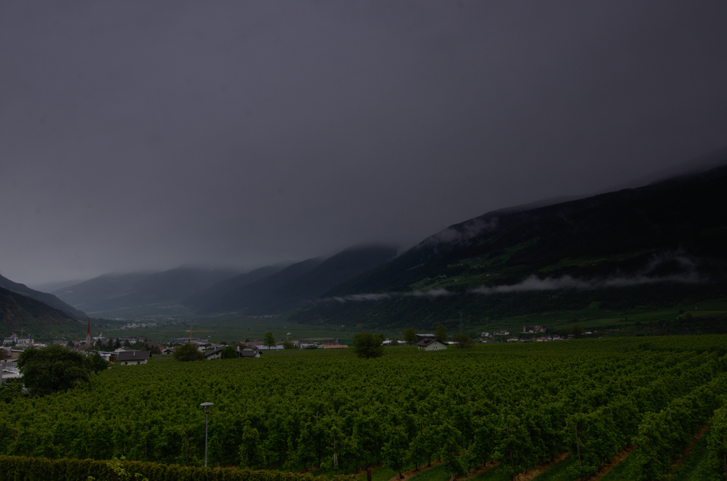 Image Schlanders_5544.png