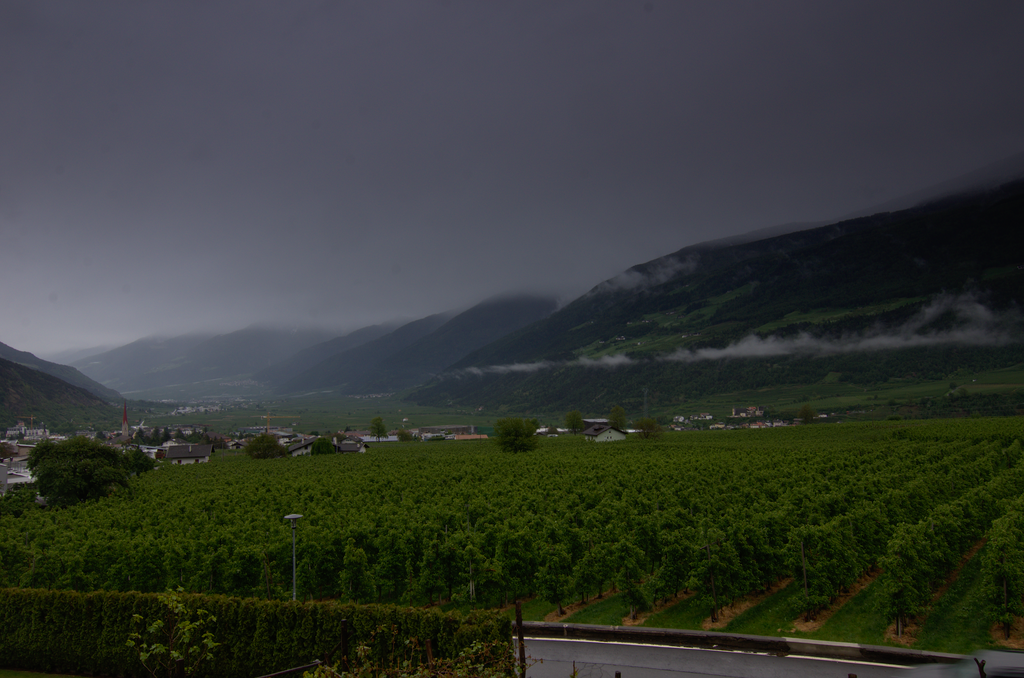 Image Schlanders_5545.png