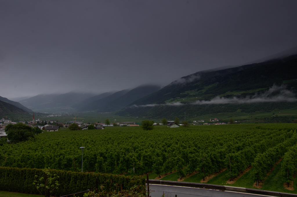 Image Schlanders_5546.png