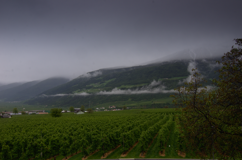 Image Schlanders_5547.png