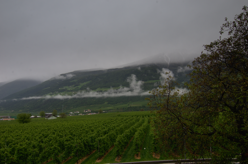 Image Schlanders_5550.png