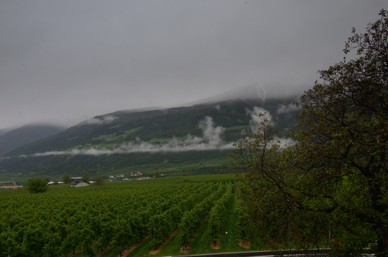 Image Schlanders_5550.png