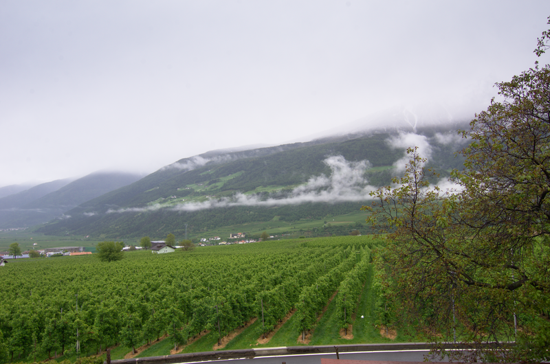 Image Schlanders_5554.png