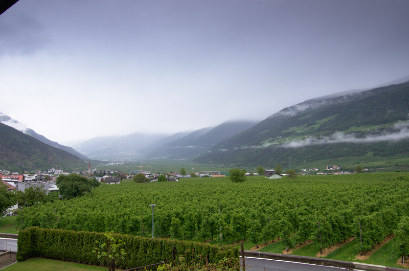 Image Schlanders_5555.png