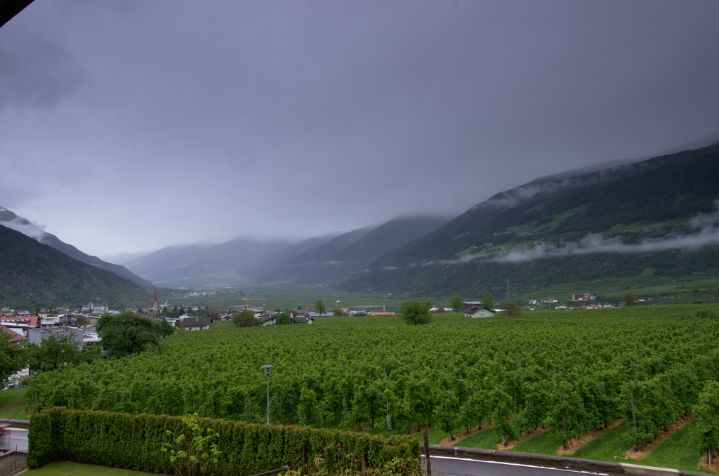 Image Schlanders_5556.png