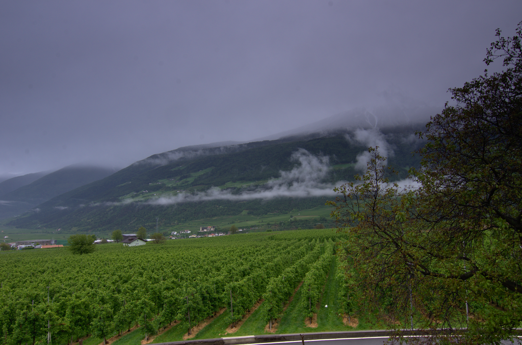 Image Schlanders_5557.png