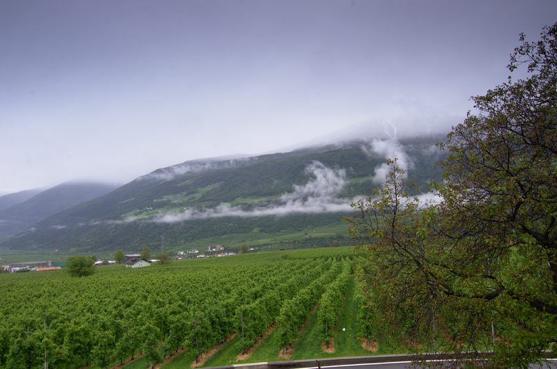 Image Schlanders_5558.png