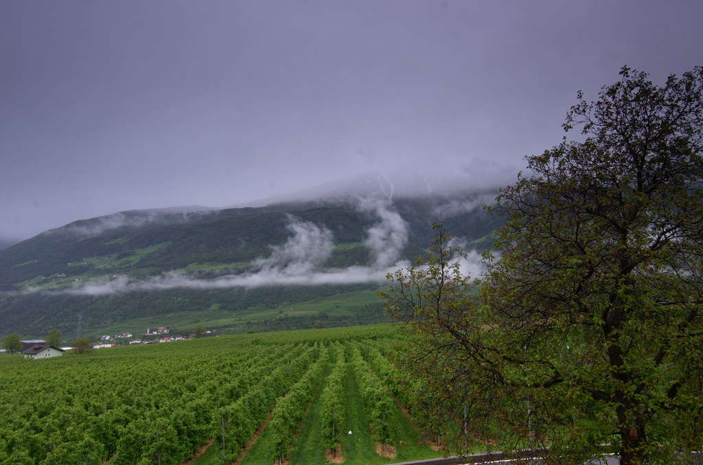 Image Schlanders_5559.png