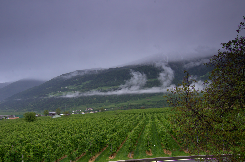 Image Schlanders_5560.png