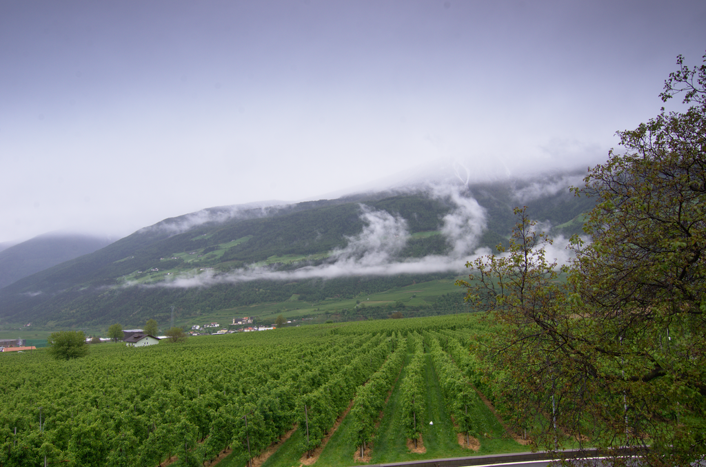 Image Schlanders_5561.png