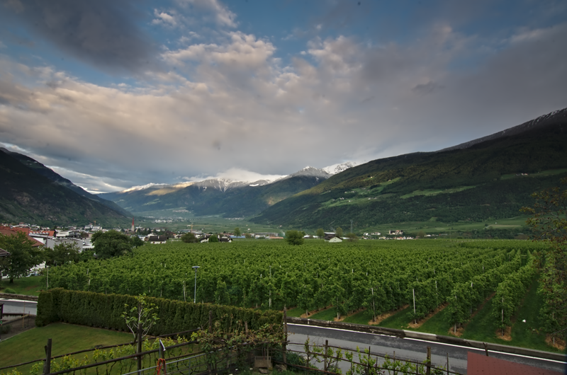 Image Schlanders_1.png